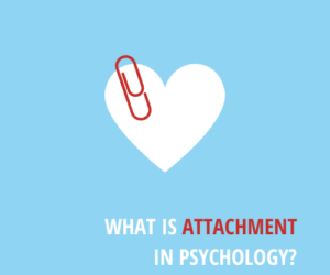 What is Attachment in Psychology?