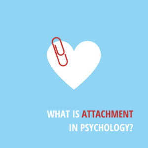 Attachment in Psychology